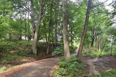 Prodej_pozemku_Městečko_Trnávka_8