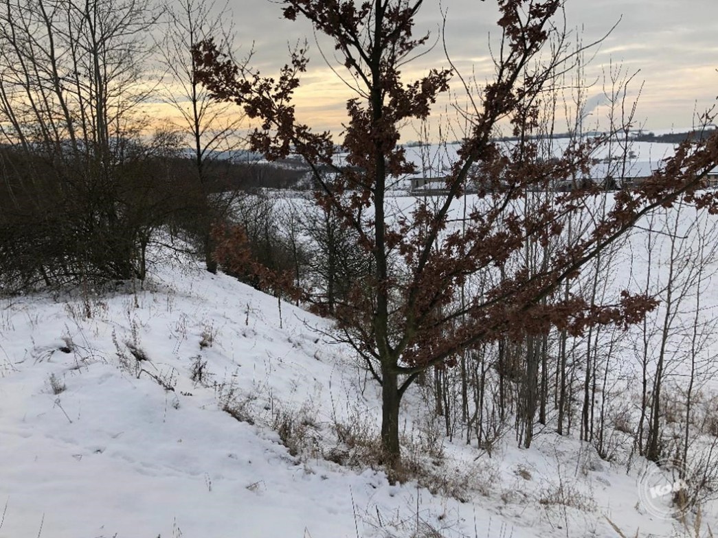 Dražba_pozemků_Žichlice_4