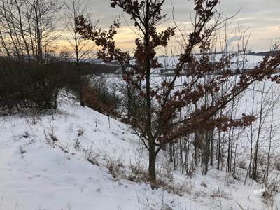 Dražba_pozemků_Žichlice_4