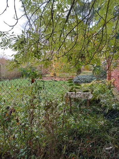 Aukce_pozemek_Rankovice_4 (1)