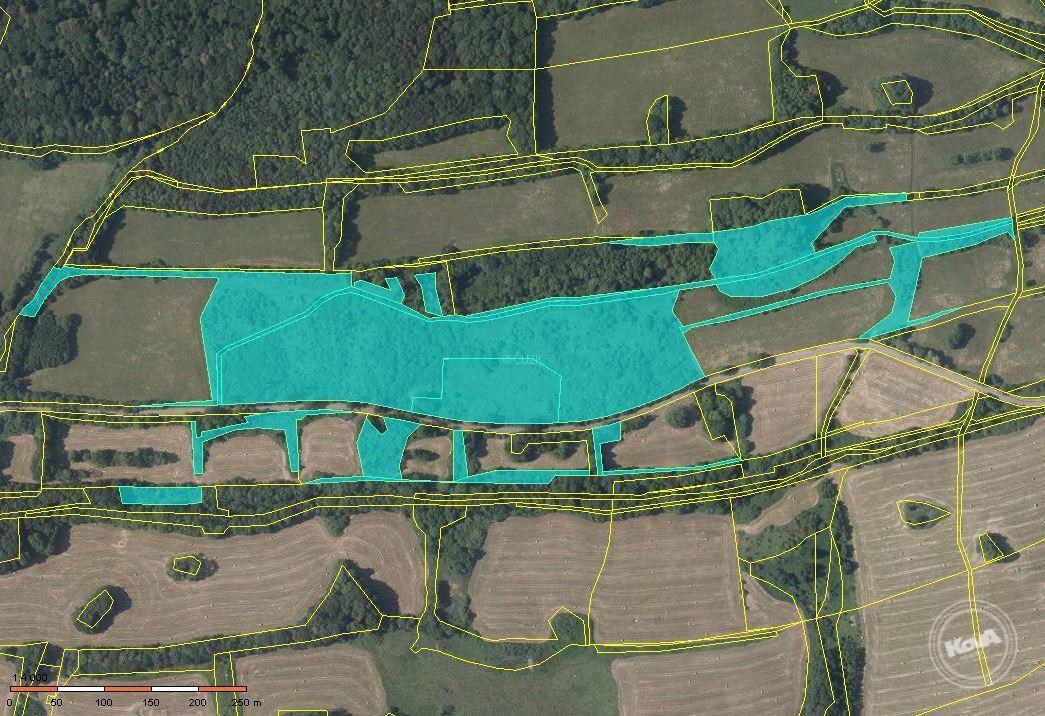 f9194d03-4214-4976-997d-2bade09727cd