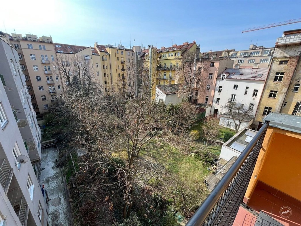 Pronájem_BYT_Dobrovského_Praha_Letná_12