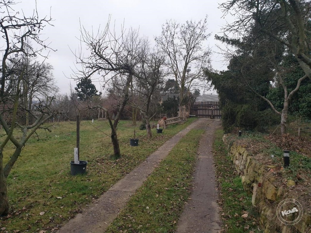 Drazba_ploviny_RD_Zatec_18