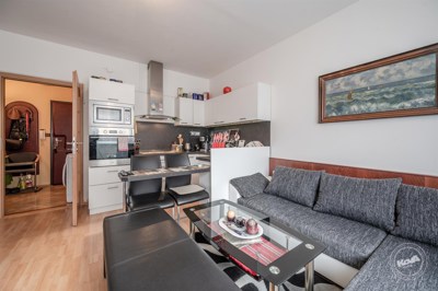 Aukce_bytu_Teplice_2 (1)