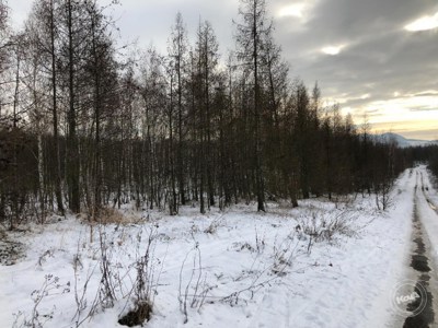 Dražba_pozemků_Žichlice_3