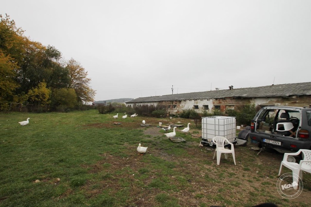 Aukce_vepřína_v_Božejovicích_2