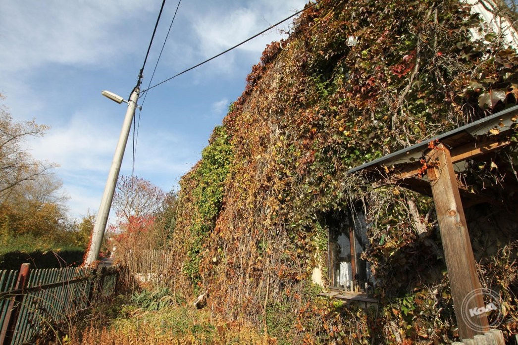 Prodej_domu_4+kk_na_klidném_místě_s_rozsáhlým_pozemkem_3768_m2,_Malhostice_03