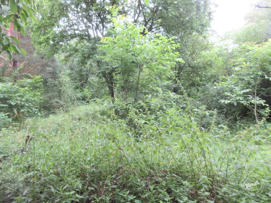 Dražba_RD_Kamenný_most_6