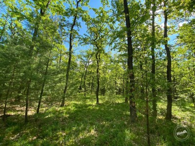 Dražba_pozemku_Kersko_3