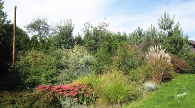 Prodej_domu_Velká_Dobrá_-_13-1