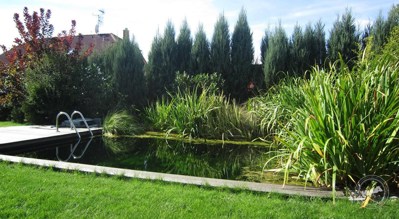 Prodej_domu_Velká_Dobrá_-_8-1