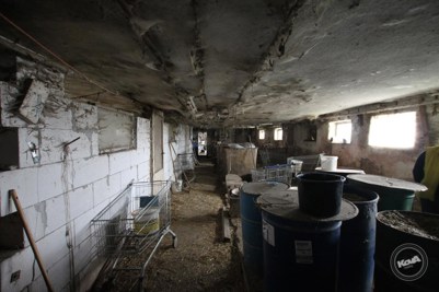 Aukce_vepřína_v_Božejovicích_10