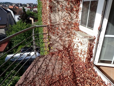 Drazba_byt_Bolevec_14 (3)