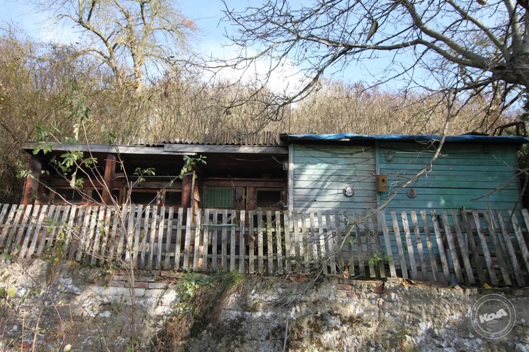 Prodej_domu_4+kk_na_klidném_místě_s_rozsáhlým_pozemkem_3768_m2,_Malhostice_06