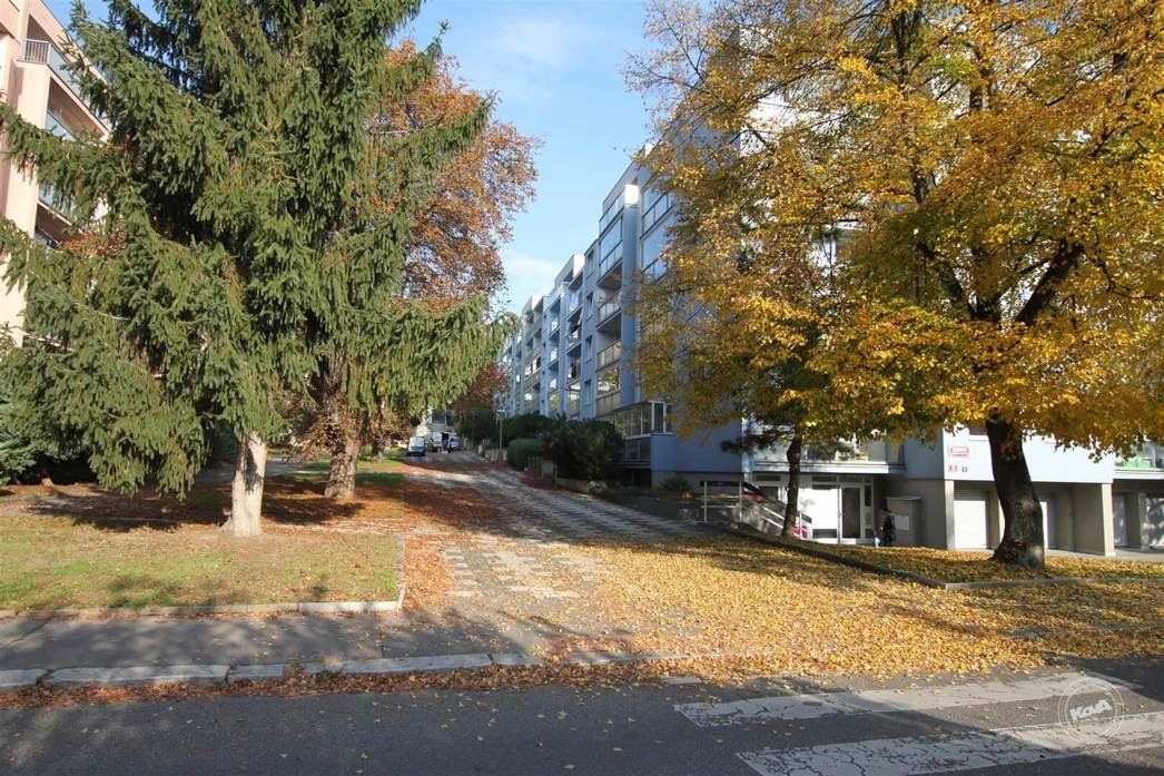 prodej-bytu-2+1-praha-6-brevnov-11