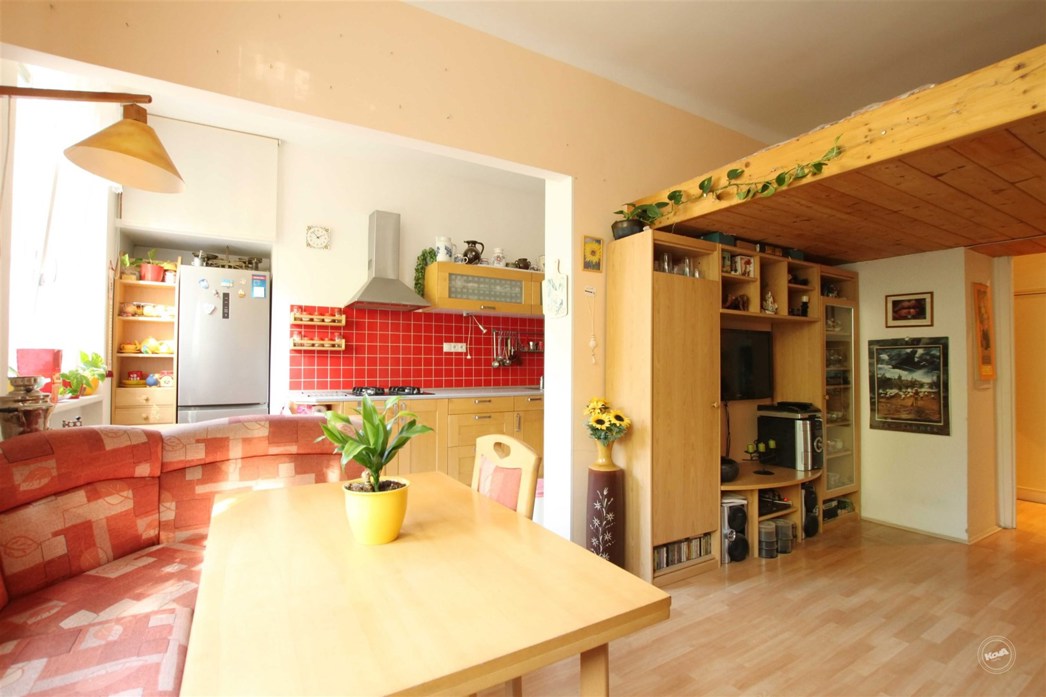 praha---3,-zizkov,-prodej-bytu-2+kk,-54-m2,-sklep-011_optimized (6)