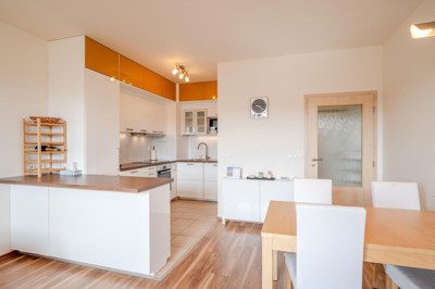 Farkasova_B403_10 (1)