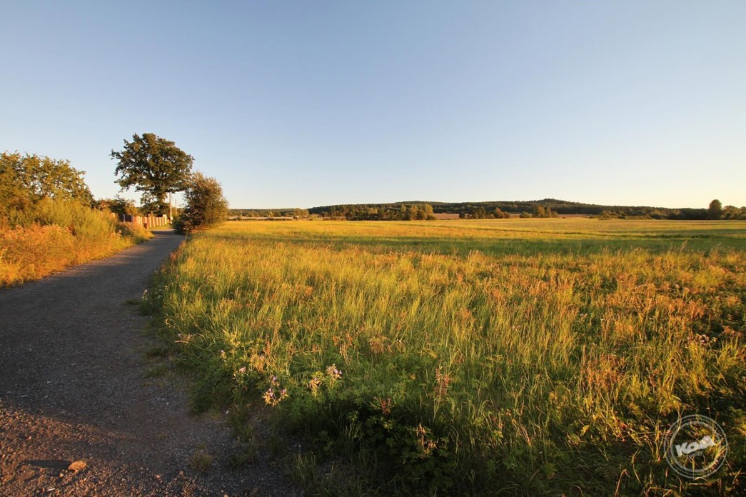 Prodej_statku_Robčice_5