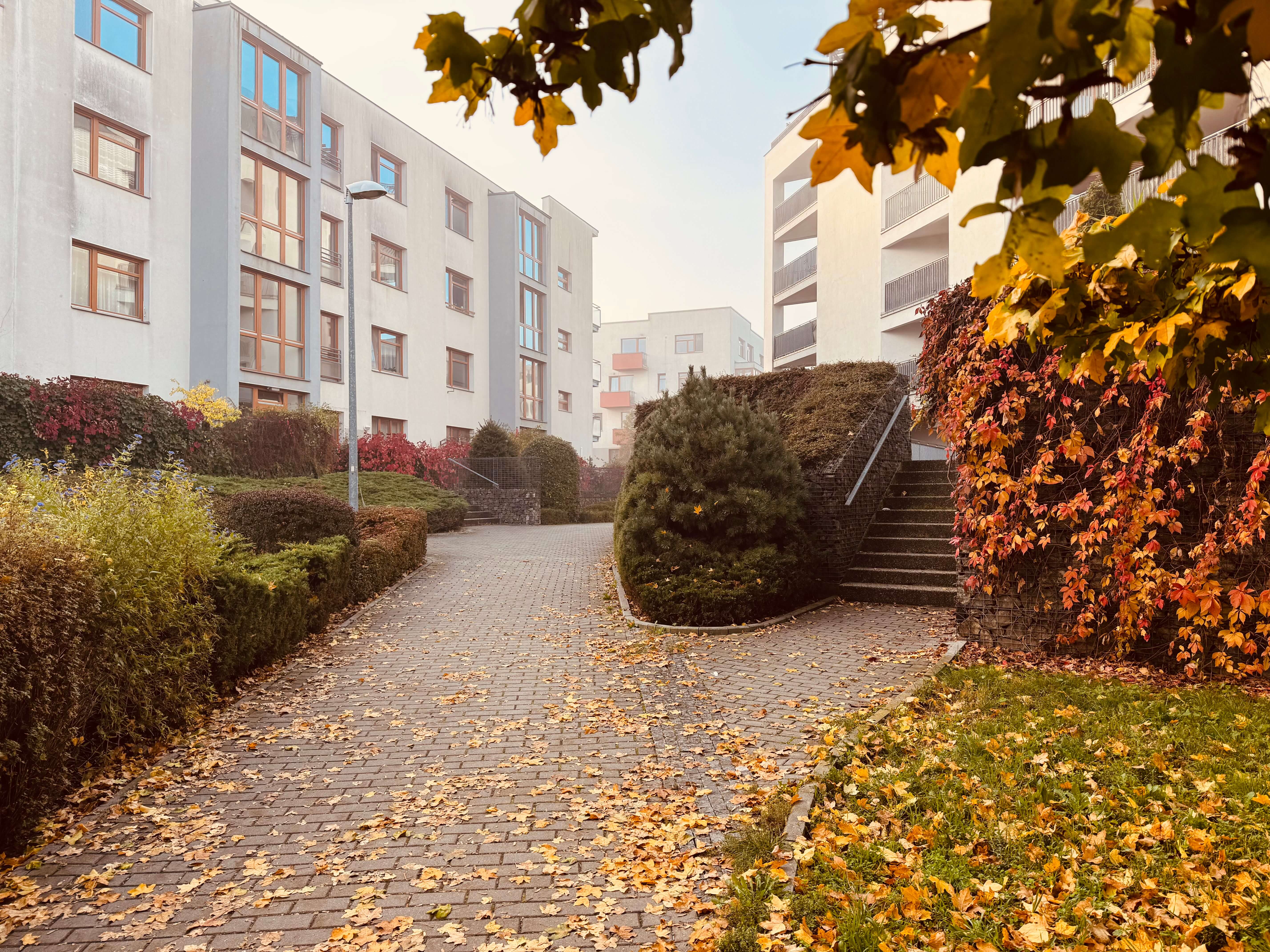 Obrázek zahradni_ctvrt.jpeg