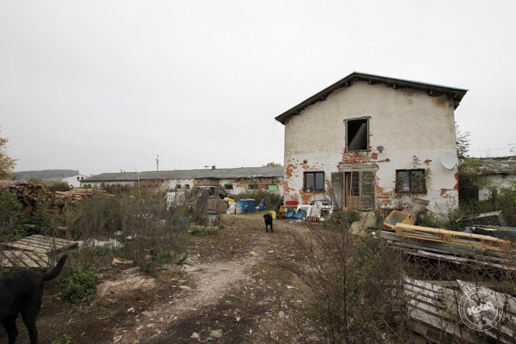 Aukce_vepřína_v_Božejovicích_3