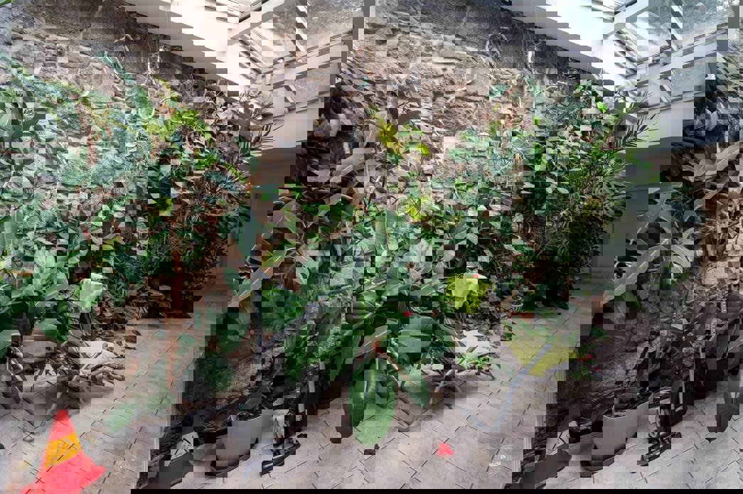 Drazba_Velke_Popovice_31