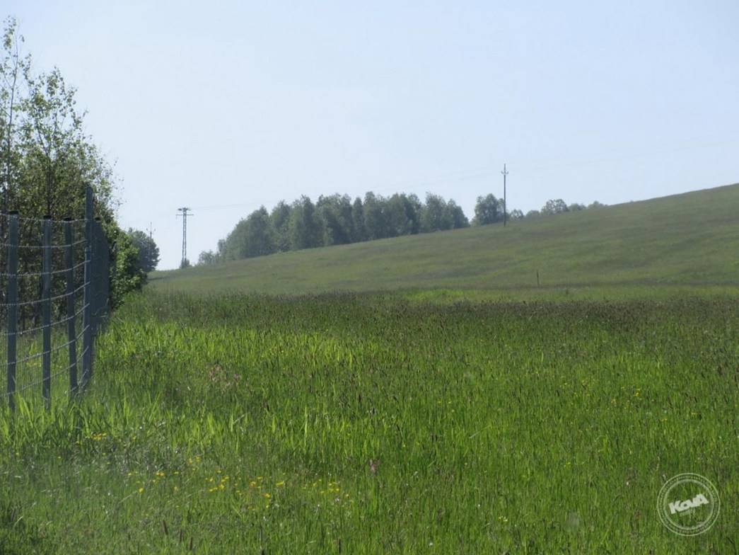 Drazba_pozemku_Chrastava_4