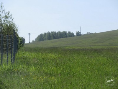 Drazba_pozemku_Chrastava_4