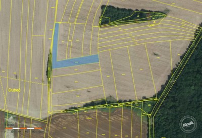 Dražba_pozemkú_v_Praze_Hájek_1