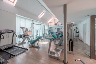 Drazba_Velke_Popovice_12