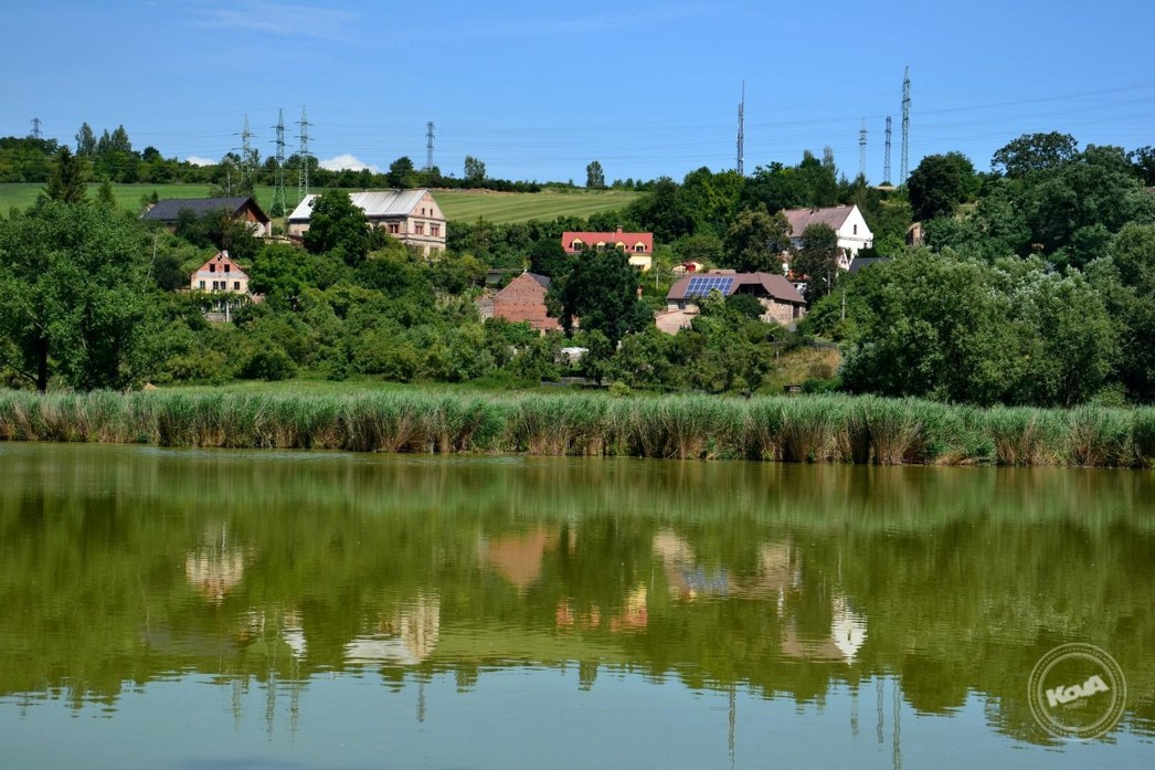 Prodej_domu_4+kk_na_klidném_místě_s_rozsáhlým_pozemkem_3768_m2,_Malhostice_11