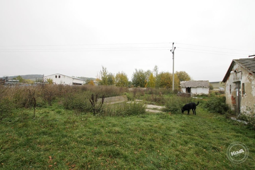 Aukce_vepřína_v_Božejovicích_6