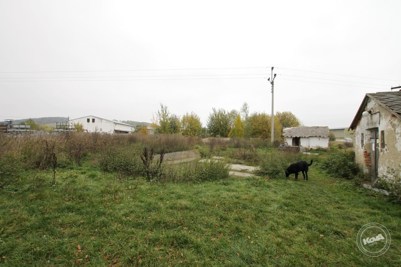 Aukce_vepřína_v_Božejovicích_6