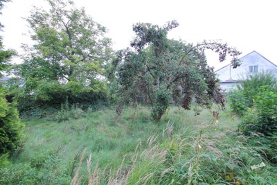 pronájem-domu-ptice_-_12