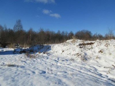 Drazba_pozemku_Krizany_5