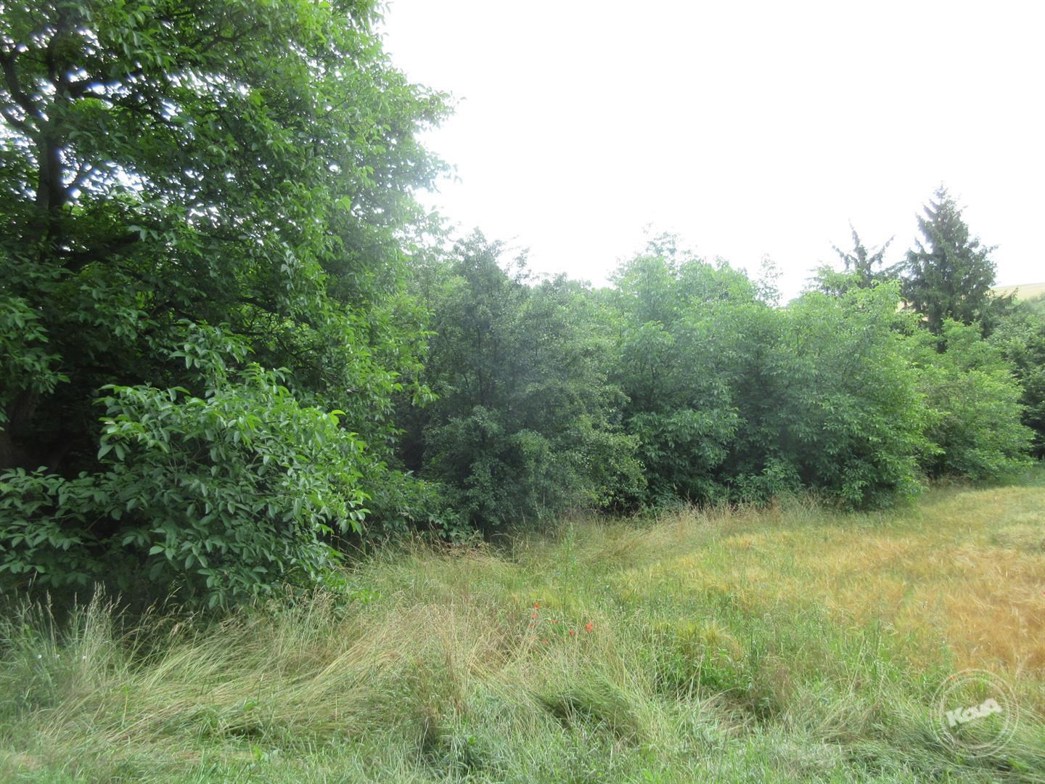 Dražba_RD_Kamenný_most_5