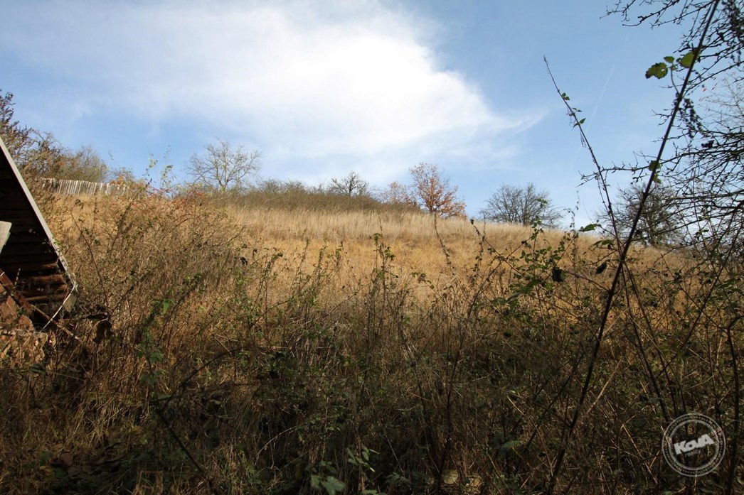 Prodej_domu_4+kk_na_klidném_místě_s_rozsáhlým_pozemkem_3768_m2,_Malhostice_04