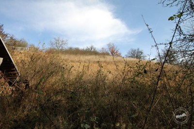 Prodej_domu_4+kk_na_klidném_místě_s_rozsáhlým_pozemkem_3768_m2,_Malhostice_04