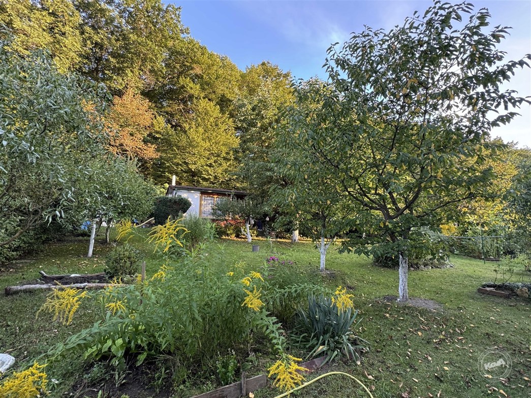 prodej-chaty-pod-smetankou-2_optimized