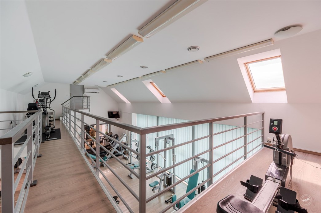 Drazba_Velke_Popovice_16