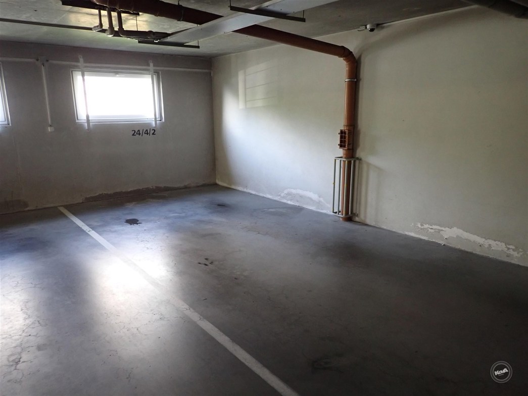 Drazba_byt_Bolevec_18 (3)