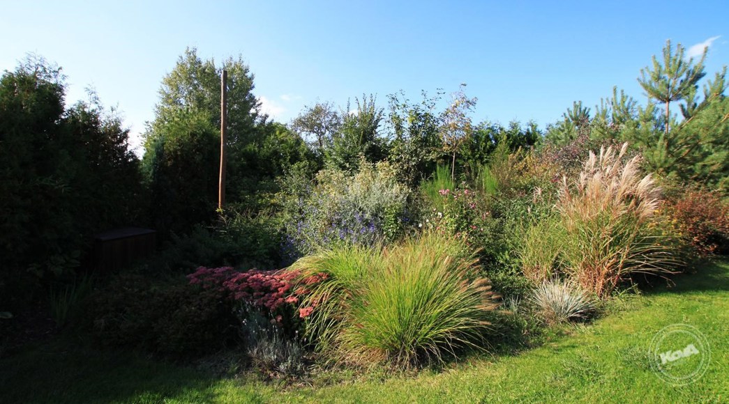 Prodej_domu_Velká_Dobrá_-_11-1