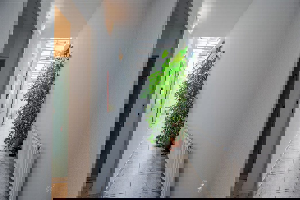 Drazba_Velke_Popovice_21