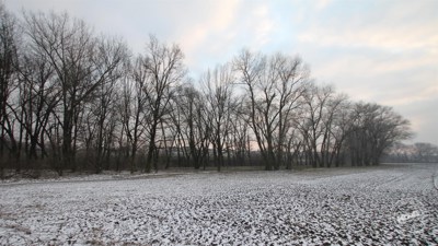 Aukce_pozemků_v_Miškovicích,_Praha_1