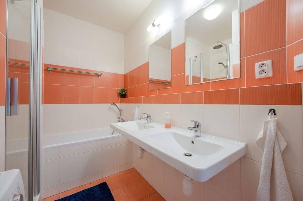 Farkasova_B403_15 (1)