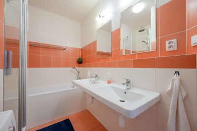 Farkasova_B403_15 (1)