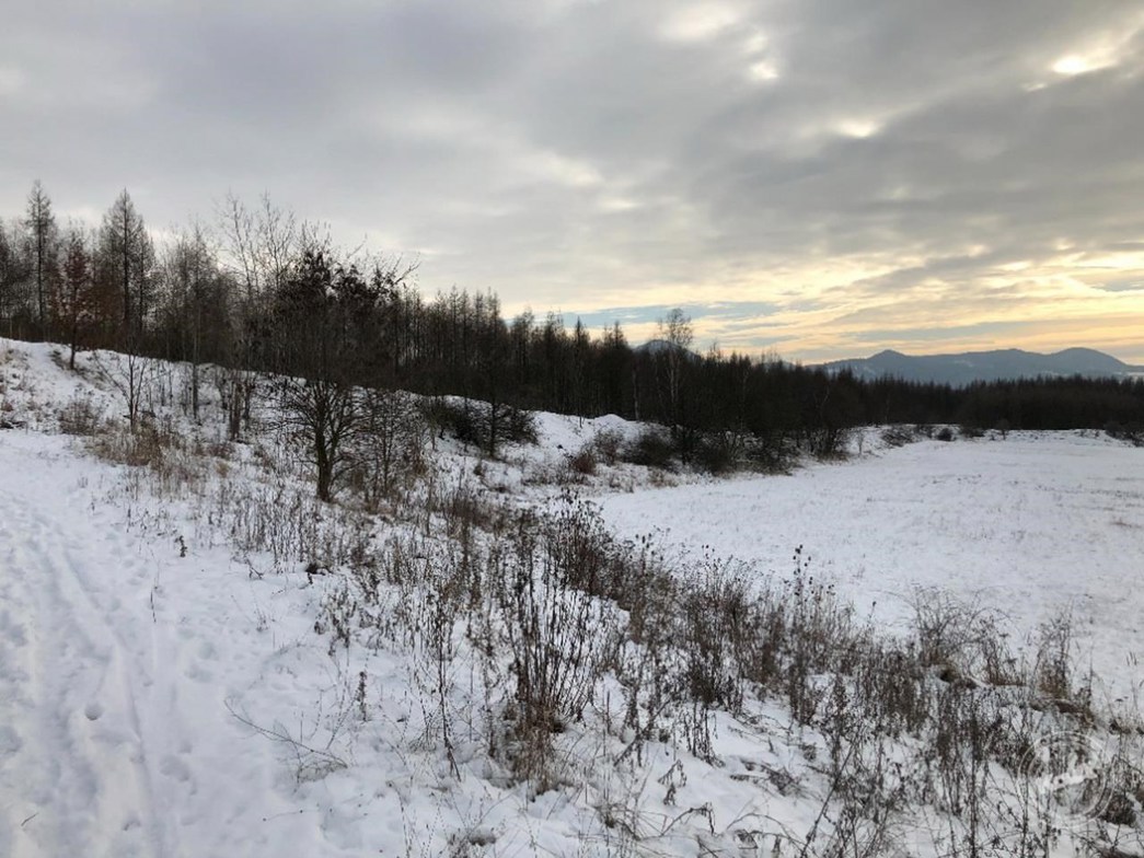 Dražba_pozemků_Žichlice_5