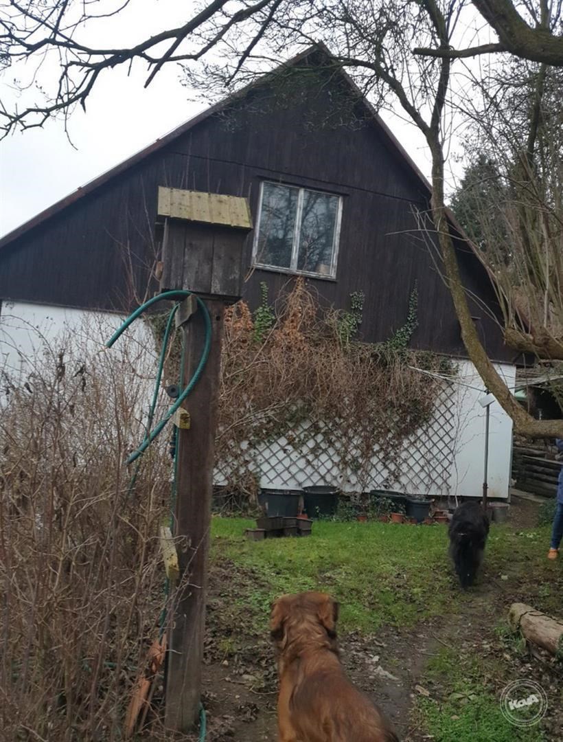 Drazba_ploviny_RD_Zatec_6