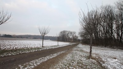 Aukce_pozemků_v_Miškovicích,_Praha_3