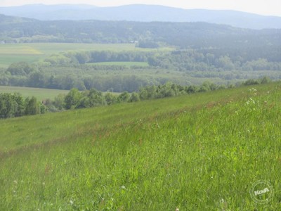 Drazba_pozemku_Chrastava_3