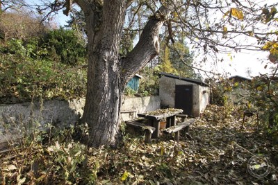 Prodej_domu_4+kk_na_klidném_místě_s_rozsáhlým_pozemkem_3768_m2,_Malhostice_07